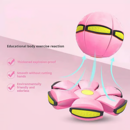 Magic Bouncy Ball – Fun for Kids, Pets & Families